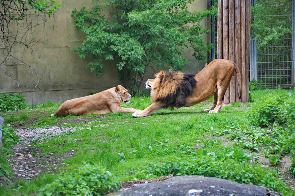 Zoobesuch_2013_01